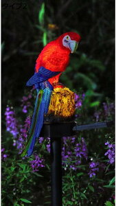 w15-30%OFF \[[u \[[Cg  u Op h drsv X^Cv K[fI[ig uCg CR 킢 b   K[fI[ig