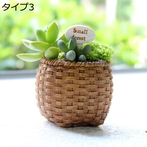 w15-30%OFF 남̃IuWF K[fI[ig W ^Cv10 ϋv AeB[N g G EOpv^[ ApAؔ ̕i ~j`A IVȒu