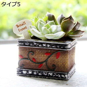 w15-30%OFF 남̃IuWF K[fI[ig W ^Cv10 ϋv AeB[N g G EOpv^[ ApAؔ ̕i ~j`A IVȒu