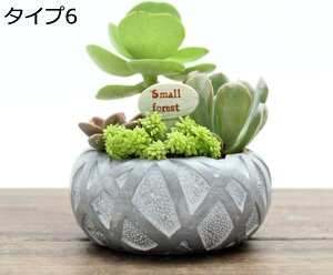 w15-30%OFF 남̃IuWF K[fI[ig W ^Cv10 ϋv AeB[N g G EOpv^[ ApAؔ ̕i ~j`A IVȒu