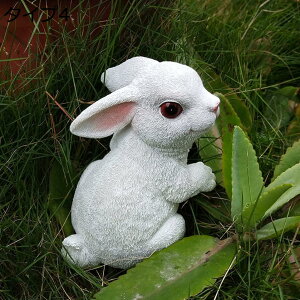 w15-30%OFF K[fI[ig W r F { ^Cv4 G K[fjOu O̒̑ I[ig K[fjOG  ̒u IuW