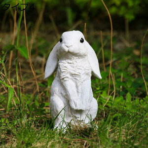 ̒u ETM u K[fjOG u GWF  YȒu 傫  u   Aj} u 킢  F u v[g 蕨 ̎G K[