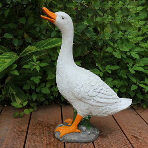 w15-30%OFF tBMA Aq CeA u   K[fjO 蕨 ЂK[fI[ig Ђ̒u { ̑ Aq̑ 񂬂̂̒u 