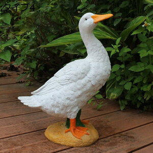 w15-30%OFF tBMA Aq CeA u   K[fjO 蕨 ЂK[fI[ig Ђ̒u { ̑ Aq̑ 񂬂̂̒u 