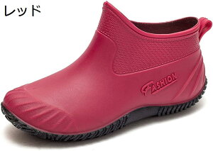 w15-30%OFF CV[Y Cu[c V[g Jp h C  Xj[J[ Xb| u[eB[ C V[Y V[gu[c AEghA ɂ JWA