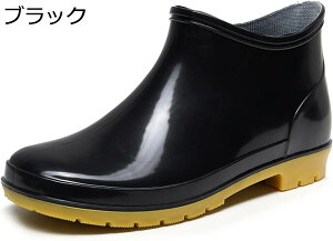 hV[Y CV[Y Y 傫TCY TCY Xb| [Jbg [q[ o[ hH ꌓp n ~J ϋv ϊ ʔNKp | D ނ _