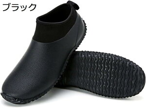 V[gu[c EH[^[V[Y Y x[V[gu[c JWAV[Y ~J΍ ~ CV[Y CObY rWlX AEghA ʋ ʊw  JC  24.