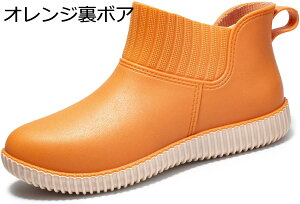 Cu[c fB[X V[g y o[u[c n hH JC h  C [q[ ʋ ʊw V[gCu[c wlC ~J Jp ʋ ʊw y K  