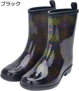 w15-30%OFF Cu[c fB[X V[g y o[u[c qE hH JC h  C [q[ ʋ ʊw V[gCu[c wlC ~J Jp ʋ ʊw 