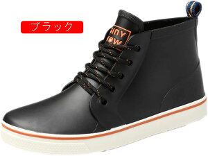 CV[Y Y Cu[c h nCJbg [XAbvV[Y EhgD CObY JC C ~J amC CXj[J[ oR nCLO ʋ ʊw 