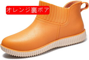 Cu[c fB[X V[g y o[u[c n hH JC h  C [q[ ʋ ʊw V[gCu[c wlC ~J Jp ʋ ʊw y K  