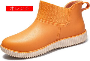 Cu[c fB[X V[g y o[u[c n hH JC h  C [q[ ʋ ʊw V[gCu[c wlC ~J Jp ʋ ʊw y K  