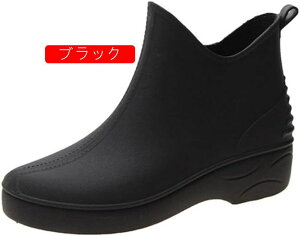 Sh rWlX V[gu[c fB[X wlC wl C y ZC JC h ᓹ ~J ʊw ʋ Cu[c CV[Y JC ~J Jp t@bV fB[XC