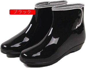 CV[Y fB[X Cu[c Sh y Xibv{^ ԕ C JWA  h ~ JC ~J΍ V[gu[c 傫TCY 䕗 K mXbv 