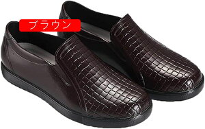 CV[Y Y Xj[J[  JC C y h Xb| V[g Cu[c rWlX CV[Y [NV[Y JWA 傫TCY I[V[Y 