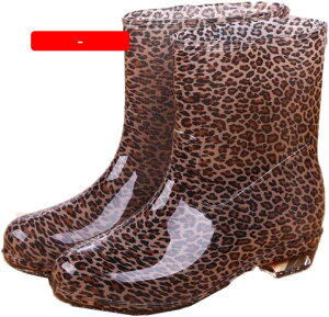 CV[Y Ip[h fB[X 23.5cm  {t V[g u[c C Cu[c V[gCV[Y ~hu[c Vv fUC hV[Y JC JpC