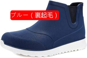 Y C V[Y V[g u[c nCJbg Sh ZC ~J΍ ƌC ϋv h ~ ނp GWjAu[c y J̓ AEghA ʋ ʊw Xb|  IV