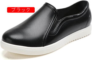 CV[Y CpvX C Xj[J[ fB[X pvX [t@[ u[c Cu[c Xb| o[ C ~[ h JC C ʊw h ؂ tbg [q[