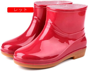 CV[Y fB[X n V[g u[c C Cu[c ~hu[c Vv fUC Cu[c o[u[c h V[g Cu[c JC ~ ʋ ʊw ~