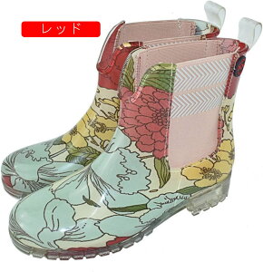 fB[X Cu[c n EBO`bv h y V[g V[Y JWA ʋ ʊw Ԍ CV[Y  Jp 䕗 ~J΍ AEghA ~ K ꂢ 