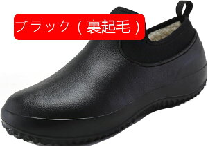 CV[gu[c fB[X Y Cu[c C JC h  y y V[gu[c ₷ ɂ CV[Y  Xj[J[ J̓ ʋ ʊw ~  