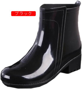 fB[X V[gCu[c h ~ y CV[Y ʋ ʊw  JC ~h V[gu[c Jp J̓ ~J΍ 䕗 ₷ ɂ p 