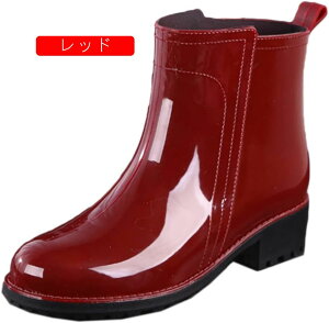 fB[X V[gCu[c h ~ y CV[Y ʋ ʊw  JC ~h V[gu[c Jp J̓ ~J΍ 䕗 ₷ ɂ p 