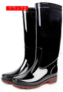  CV[Y Y rWlX h Xj[J[ L  ubN V[g Cu[c h Xb| JWA ~ JC J̓ t  H ~ ԃV[Y ʋ ʊw