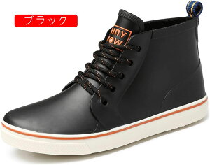 hCV[Y V[gCu[c ʋ ʊw ip Sh h 傫TCY ₷ ₷ YCu[c ANu[c Cu[c JC V[gCu