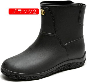 Y C V[Y V[g u[c nCJbg Sh ZC ~J΍ ƌC ϋv h ~ ނp GWjAu[c y J̓ AEghA ʋ ʊw Xb|  IV