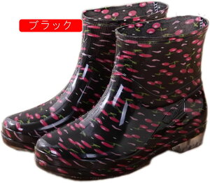 CV[Y JC V[g  fB[X Cu[c C J IV ʊw JWA y ʋ Vv q[  ₷ J hu[c C  u[eB J  傫