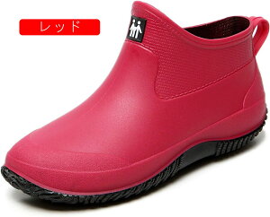 CV[Y Y y fB[X CV[YV[g IV Cu[c JC Lb`V[Y ~[p h rWlX ނ Ԍ ~J΍ 䕗 ʋ ʊw Ɨp ƌC 