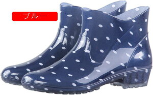 Cu[c fB[X hCu[c V[g q[3cm  ~h CV[Y h JC C ₷ ₷ C fB[X 3E J  D ~ hC