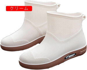 CV[gu[c fB[X Cu[c C JC h  y y ~hu[c ₷ ɂ CV[Y  킢 n  F 킢 J̓ ʋ 