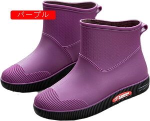 CV[gu[c fB[X Cu[c C JC h  y y ~hu[c ₷ ɂ CV[Y  킢 n  F 킢 J̓ ʋ 