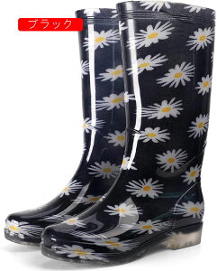 CV[Y Ou[c fB[X JC C h t@bV _炩 ɂ y hV[Y o[V[Y ԕ  WbL[ Cu[c C Jp p 