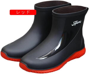 Cu[c Y CV[Y V[gCV[Y hV[Y Sh ~ y Jp C V[g  h h AEghA _ ނ ʋΒʊw JWA K[