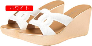 T_ fB[X EFbW\[   ~[ T{ ₷   8cmq[ qE Ip[h  C ʊw r ItBXT_ V[Y ɂȂ  ~