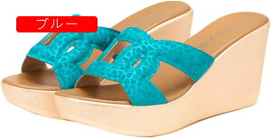 T_ fB[X EFbW\[   ~[ T{ ₷   8cmq[ qE Ip[h  C ʊw r ItBXT_ V[Y ɂȂ  ~