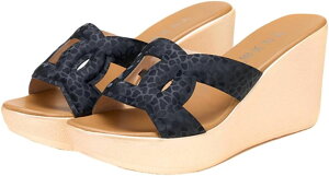 T_ fB[X EFbW\[   ~[ T{ ₷   8cmq[ qE Ip[h  C ʊw r ItBXT_ V[Y ɂȂ  ~