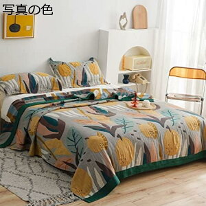 w15-30%OFF K[[Pbg 5d VO 100 ɗD uPbg z  LgPbg y 唻 G| Qp [΍ k q lGKp  ېOK ^IPb