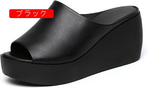 T_  ~[ fB[X Vv  T{T_ EFbW\[ JWA t@bV r Xbp EFbWT_ ₷   7cm ʋ ItBXT_ 