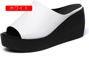 T_  ~[ fB[X Vv  T{T_ EFbW\[ JWA t@bV r Xbp EFbWT_ ₷   7cm ʋ ItBXT_ 