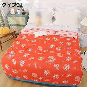 2d D K[[Pbg VO  150*200 K[[ uPbg y 100 Rbg LgPbg t[c ʋC t RۖhL |  􂦂 _炩 ^IPbg Pb