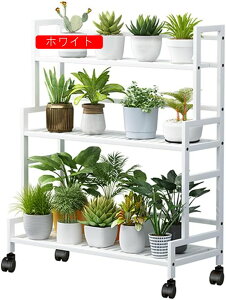 t[X^h 3i ԑ  ϗtA I O |bN  [bN K[fbN O  gȒP @\ [I 80×s40×100cm (ubN)