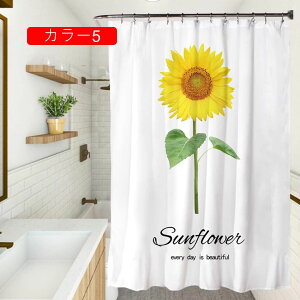 V[J[e hhJrH J[eOtkgԕ120x180CM ʏ ډBp Ԏd؂  J[1 oXpi J[eOt zepG tȒP 1