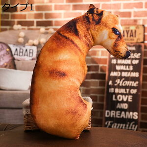 w15-30%OFF A ʂ  v[h V~[V l`  ybg efB h[ gCv[h i ӂӂ _炩 ^Cv 50cm Mtg v[g _  