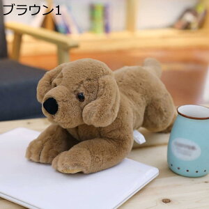 w15-30%OFF ʂ  80cm ̂ʂ 킢 j̎q ̎q  gCv[h a  u v[g NX}X j ̂ʂ 킢 uE gCv