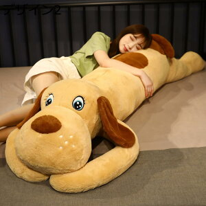w15-30%OFF Č Ckʂ   ʂ 傫 Č O NbV 킢 YQ 150cm ʔ fUC NbV v[g u X Ce
