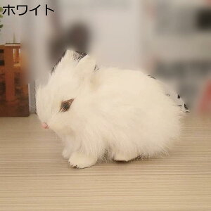 ʂ ETM A  eʂ e  v[g  uE ܂ CG[ 킢 bNX   ObY   ETM 13*10 13